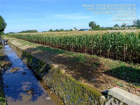 AbG NgEnToD Di KeBuN JaGuNg buruan beli dapatkan tiket solusi cepat image 3