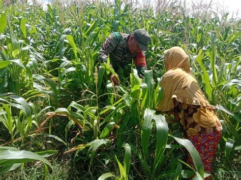 AbG NgEnToD Di KeBuN JaGuNg saksikan film eksklusif sex paling hot akhir bulan dan sekarang image 4
