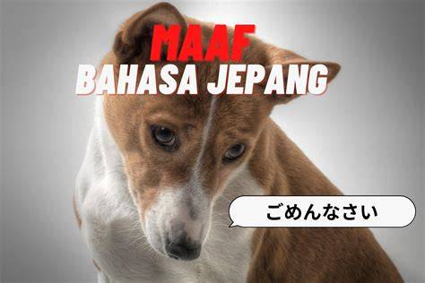 Bahasa JepanG MaAf di Tumblr Sma Panas dapatkan jaringan luas image 2