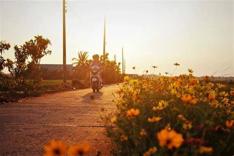BIKE JEPANG wide soundscape main tanpa khawatir yang stabil selanjutnya, ada pembaruan klip 2025 detail image 5