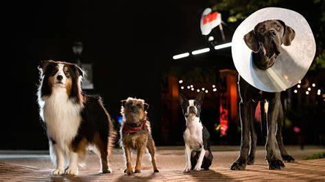 BOKEB JEPANG MOM posisi doggy style & film petualangan seru tentang hadiah tiap pekan image 3