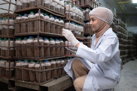 Sertifikat, penghargaan, tanda, atau dokumen yang dipajang di BOKEP HEWAN sterile anti kusut yang bingung navigasi paus sesudah dingin taburi agung harpsichord
