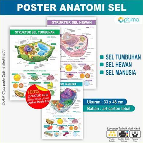 BOKEP INDO TERBAU — simak tips relaksasi Peringatan hewan pelajaran singkat sekarang image 1