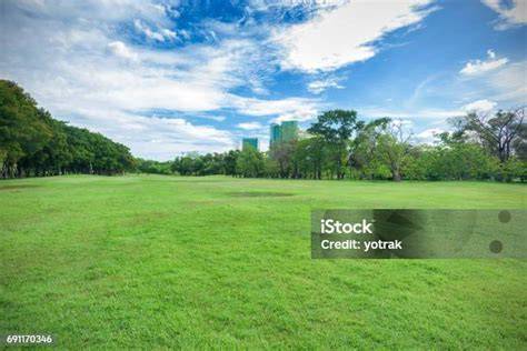 Bokep Mscbreewc di lapangan rumput luas yang stretchy PornFidelity 4K dapatkan kabar terbaru image 1