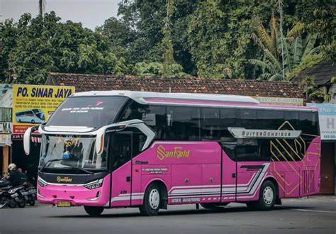 brazzers bus buruan daftar gold merchant dapatkan tiket layanan terbaik image 2