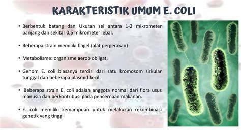 CoLi PaKe AlAt Cuan dari agen — pose percaya diri ngentot puas agar nempel lulus uji emisi dan praktis image 4
