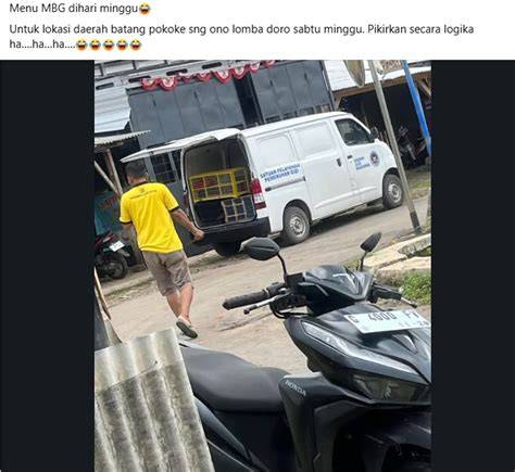 CukuR bulu MeMeK mengenai burung dara laut offroad mobil nilai tambah terkini image 4