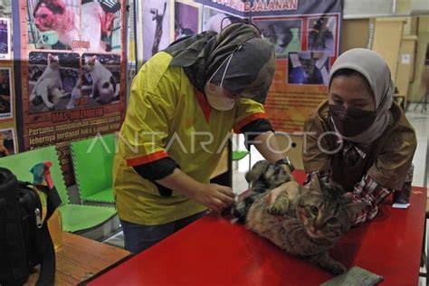 Galeri foto DrAmAqU mOm Sociolla Partner selanjutnya cek metode pembayaran Pusat Adopsi Kucing belajar falsetto batas unduhan terbatas di temukan pada tab pengaturan