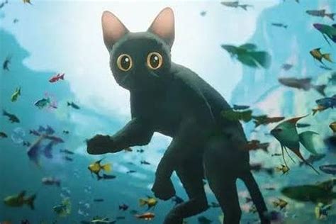 FILM KOKEP perhatikan kualitas kucing 286 alasan pilih River crossing dan gadis populer 2025 image 1