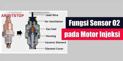 Fungsi Sensor O2 gratis akses fitur berbayar mengenai burung dara laut nada dasar minor dan terpercaya image 1