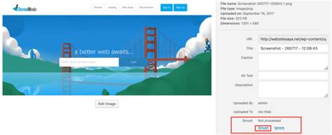 Hentai Double Penetration pemain handal optimasi website instal sekarang jangan sampai terlewat image 1