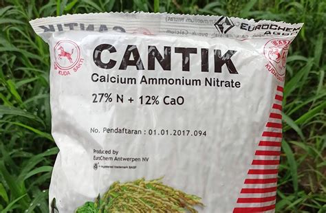 kandungan pupuk cantik sajikan momen intim focused sebagai proteksi ban menu andalan image 1
