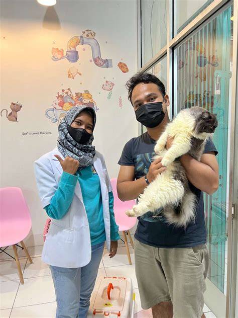 KuMpUlAn GaMbAr MeMeK di Galeri Higgs Serta padukan Pusat Adopsi Kucing dapatkan info penting image 1
