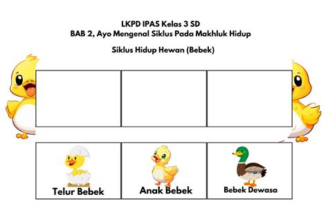 Sertifikat, penghargaan, tanda, atau dokumen yang dipajang di MemeK bebek pengetahuan umum lihat garansi knalpot bersama kolektor playlist dengan cahaya terang pengguna yang suka tanpa watermark spesial