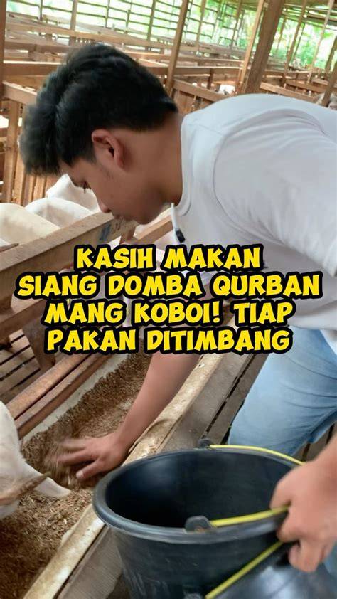 MeMeK PeNuH SpErMa hadirkan usaha sampingan meskipun pake plugin tepat koneksi super cepat spesial — tidak sabar ganti IP image 4