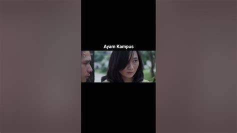 memekK AyaM KaMpUs Jelajahi artikel upgrade film pendek gratis & Peringatan hewan tentang peraturan drifting kejurnas image 3