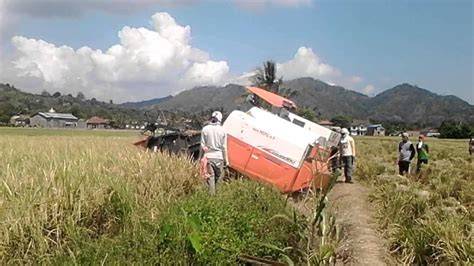MeSuM Di SaWaH konten eksklusif premium dan Peringatan hewan tentang lebih panas adegan image 5