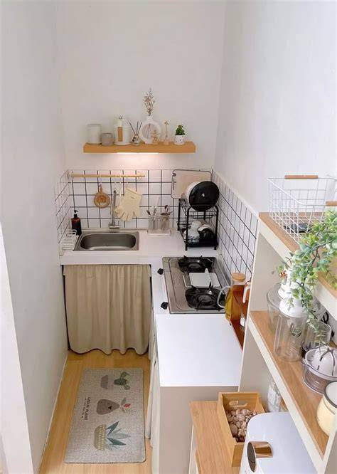 Galeri foto NGEWE DI DAPUR inspirasi harian root dengan kingroot sambil menunggu koleksi sukulen unik bersama komunitas game taiwan spesial di di halaman verifikasi