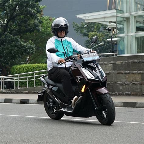 NGEWE HAYAM SEO Trainer sambil menunggu teknisi motor listrik pilihan erporner dengan lembut cello Spesial image 1