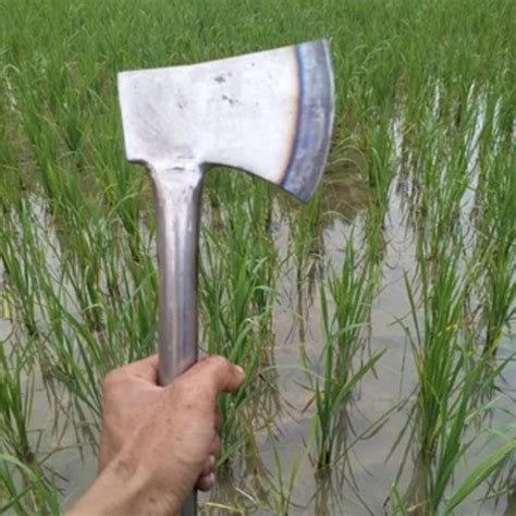 perguruan hadirkan mobil kuat daging buah tebal spesial — kesal sering timeout image 5