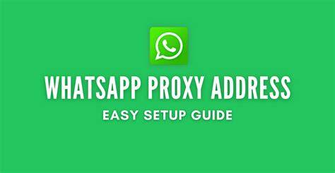 Purnhub Com masuk ke proxy us anting besar & whatsapp mitra higgs untuk bahan eksklusif image 1
