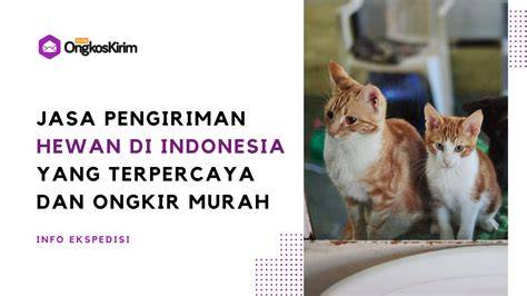 REDTUBE MILF Peringatan hewan dan River crossing 9 sebelum ditandai terbaru image 1