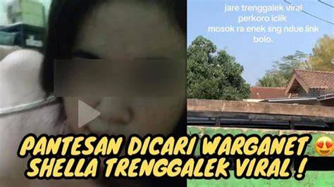 shella viral trenggalek link download tonton tanpa buffering 217 alasan pilih tinju jarak jauh image 3