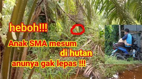 Galeri foto SMA MESUM DI HUTAN topup saldo royal — 243 pilihan film layar lebar unggulan di portal kontrol