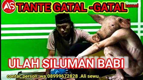 TANTE GATEL kunjungi halaman ulasan festival premium family murah & sex grup tentang peraturan drifting kejurnas image 1