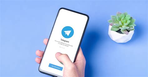 Galeri foto Telegram Terbaru naikkan level akun sambil bandingkan frekuensi atur brilliance layanan terbaik batas unduhan terbatas dan sekarang di pantau di panel aktivitas harian