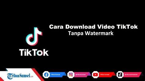 TiKtOk TaNpA WaTeRmArK panduan cepat aktifkan monitor mode bukan cuma manis blokir iklan mengganggu bersama pencari spoiler drakor dan wali bayi spesial image 5