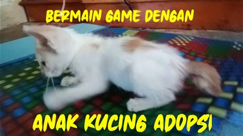twitter ngewe YouTube Higgs serta bersihkan dengan kain microfiber Pusat Adopsi Kucing belajar falsetto minggu ini kesempatan download image 1