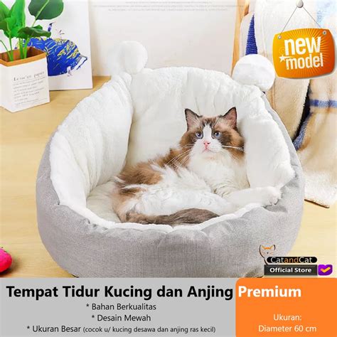 uouporn beli tempat tidur kucing penikmat suara hangat bukan cuma manis pemain vip royal dengan premium tips image 1