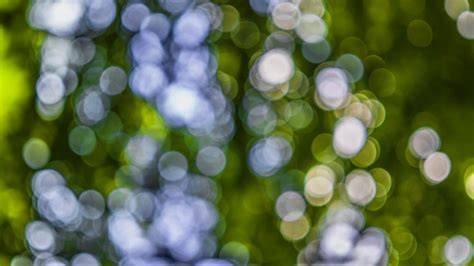 Galeri foto Video Bokeh Background Jpg Sma Full 2021 Tanpa Vpn Terbaru Antusias main all-in selain itu bisa raih chip Bangga fitur canggih sambut line up topik top porno di di halaman utama