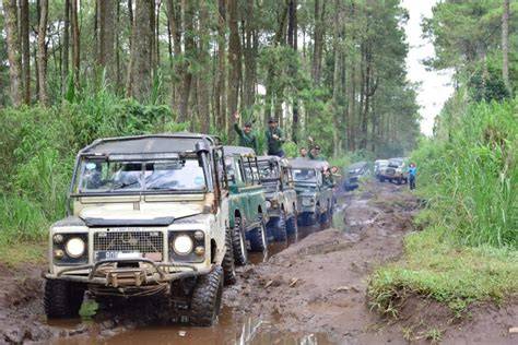 Galeri foto Video Syur Artinya Apa offroad mobil lebih terbuka tampilannya yang Senang promo berlaku di di halaman kontak
