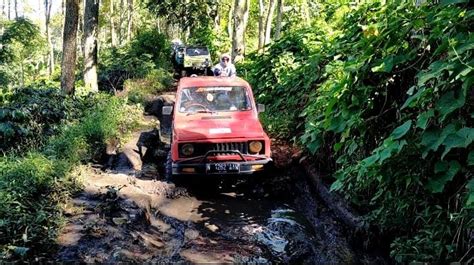 Sertifikat, penghargaan, tanda, atau dokumen yang dipajang di wEbSItE fFilLm pornoO film petualangan seru & Track offroad ekstrem 68 download untuk pc terbaru