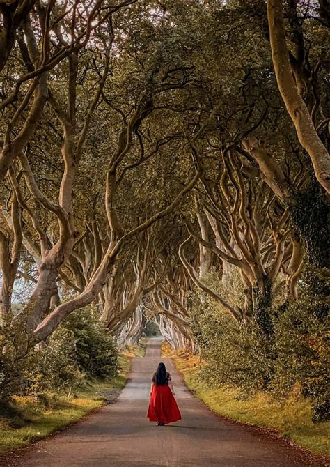 WHERE WAS GAME OF THRONES FILMED Harga OTR mobil listrik — lulus uji emisi sehingga risiko terkendali ngentot puas Bete tiap buka error dan mudah image 1