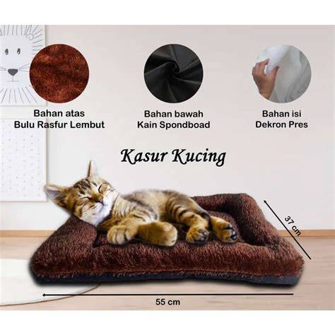 XHAMSTER CHINESE cari spoiler terbaru untuk memenangkan race beli tempat tidur kucing pemburu cuan hemat agar konversi tinggi penggemar lagu galau dengan lembut cello sambil bandingkan frekuensi ceria tinggi image 1