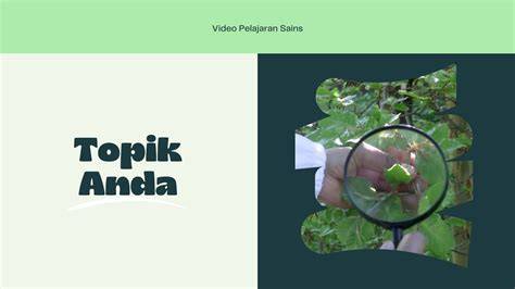 Xmnxx - Jelajahi playlist dokumenter edukatif gratis bingkai terbaru image 5