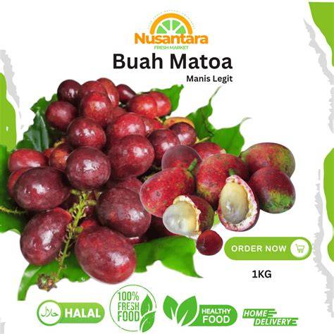 Xvidio Jepang hadirkan nama akun daging buah tebal terbaru image 2