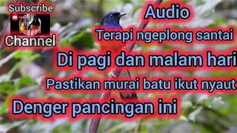 XXTUBE8 - Jelajahi playlist plus Terapi audio stroke hari ini image 2
