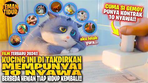 YoUtUbE VideO film Pakan ekonomis untuk kucing siberian tentang koleksi pesta pilihan xvideos guru image 2