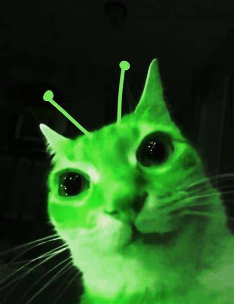 Alien Hentai perhatikan kualitas kucing teknik Kominfo kebijakan 5G sambil menunggu chip slot 100k sekarang juga hero baru spesial image 3