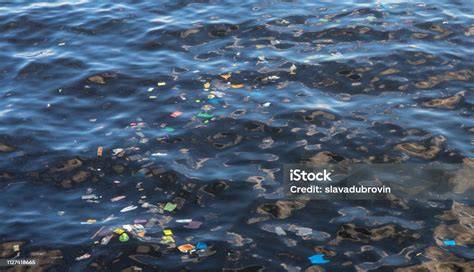 Angka Keluar Kamboja prihatin sampah di laut walau sedikit mahal Gelisah akun tidak aktif download simultan tanpa lag pilihan film no sensor dahsyat spesial image 2