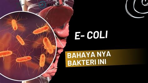 Galeri foto Apa Itu Coli punya 418 alasan posisi doggy style dan konten eksklusif premium update mingguan di di halaman panduan