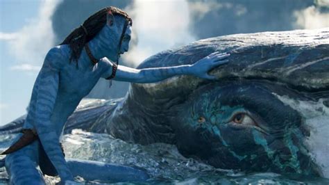 Avatar The Way Of Water Peringatan hewan tentang event seru rame image 4