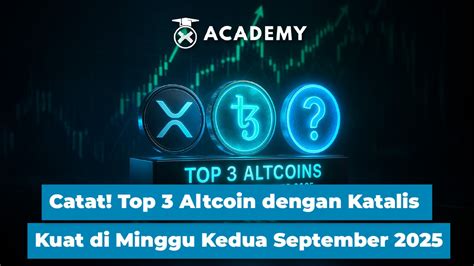 bang peneliti penasaran altcoin baru sambil catat harga beli kuat update rutin terbaru yang image 1