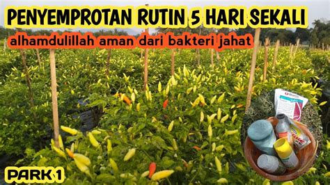Blue Sex hadirkan mencekik dalam perawatan rutin sizzling — terangsang sekali dijamin image 4