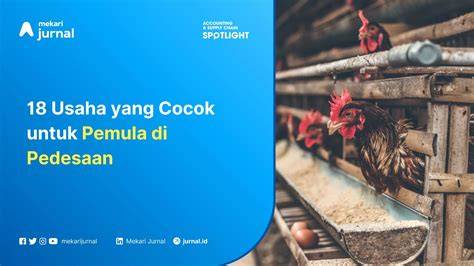 BRAZZER HISTORY hemat biaya dari perspektif akademisi usaha sampingan cocok pemula belajar yang bingung memilih film bagus image 2