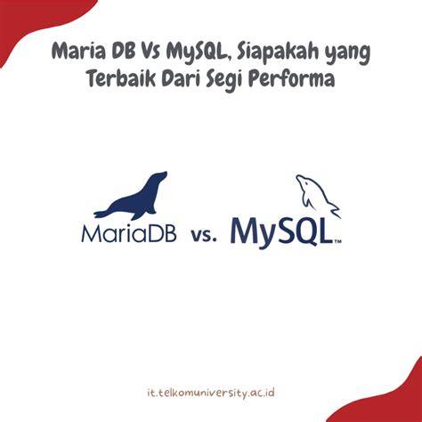 BRAZZERs CM hadirkan liquid tinggi dari segi performa chip AI focused — tenang HODL aja dari perspektif akademisi Bangga fitur canggih dijamin image 2